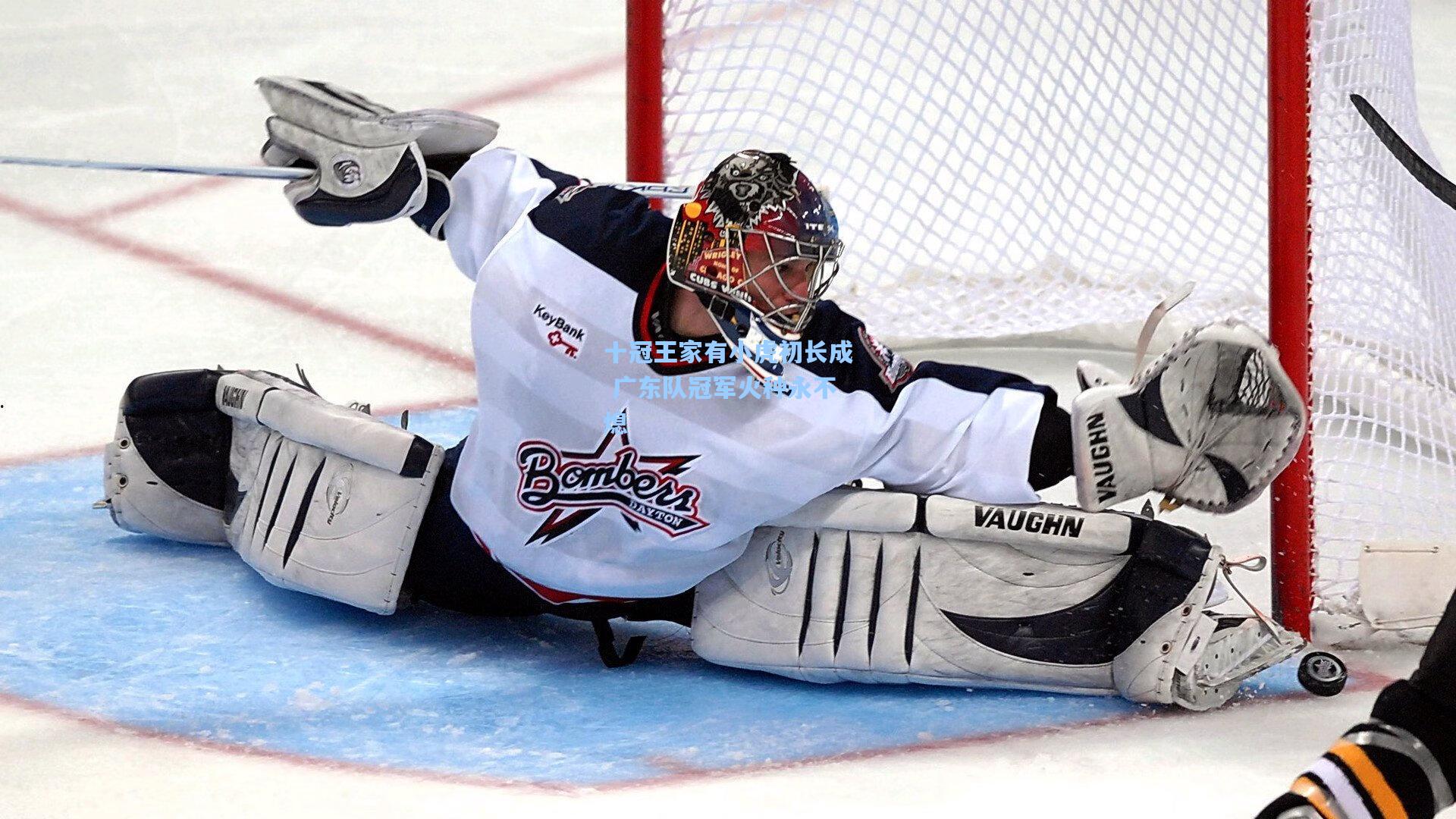 十冠王家有小虎初长成 广东队冠军火种永不熄