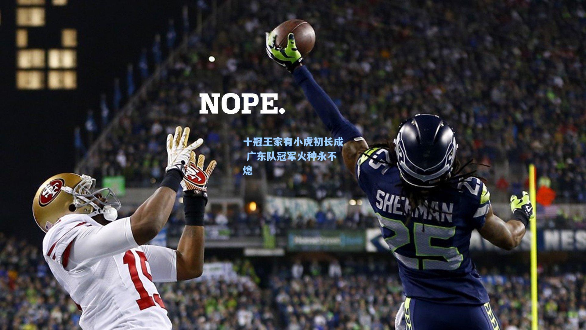 十冠王家有小虎初长成 广东队冠军火种永不熄